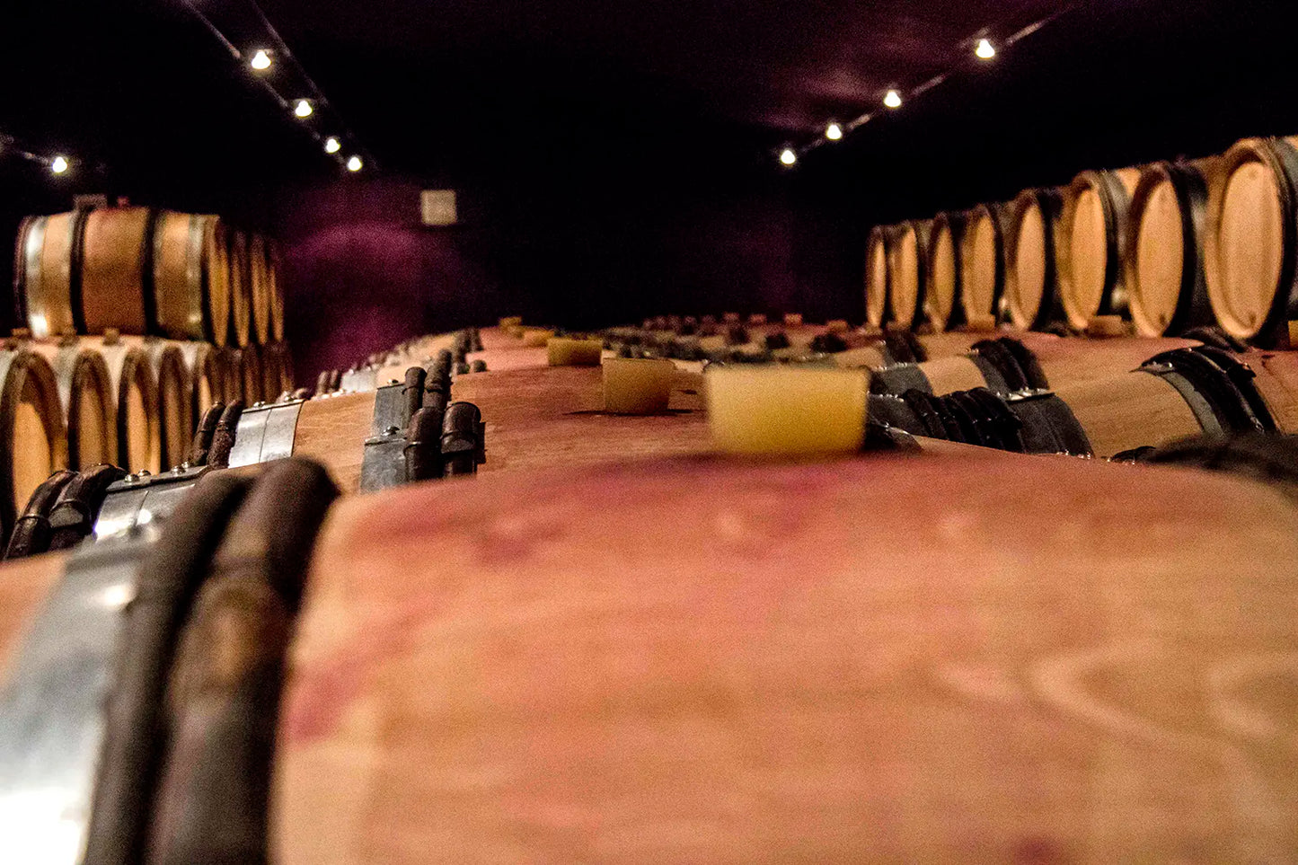 DOMAINE BACHELET-MONNOT, Maranges, Premier Cru Clos de la Boutiere, 2023 - (WOTM)