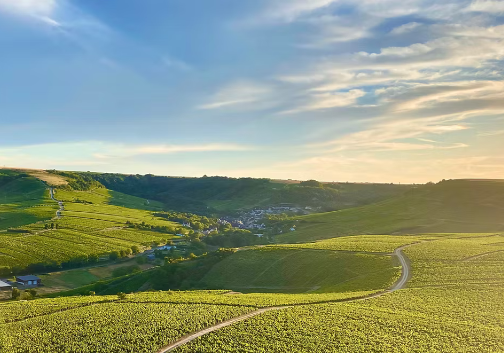 DOMAINE DELAPORTE, Sancerre "Silex", 2023 - (WOTM)