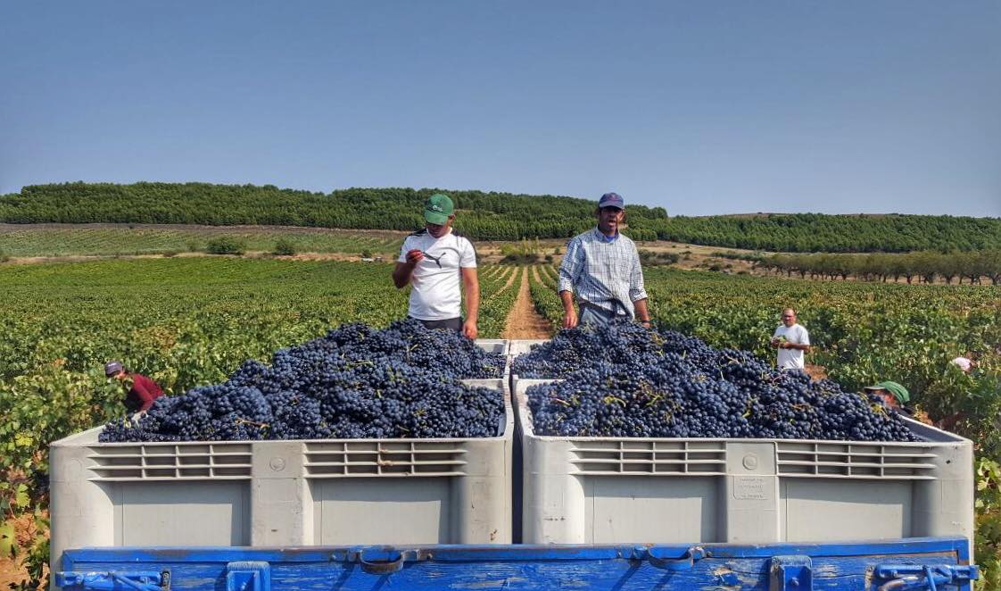 HACIENDA GRIMON, REAL DE LESTON, Rioja Alta, Reserva, 2015 - (EQW)