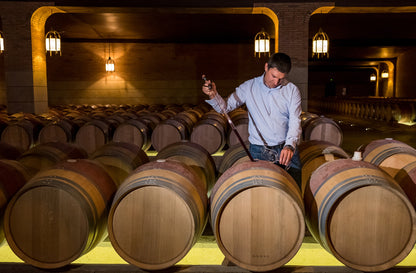 SALOMON, Bodegas Rippa Dorii, Ribera del Duero, 2020