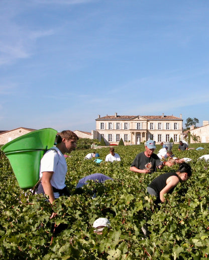 DULUC DE BRANAIRE-DUCRU, Saint-Julien, Bordeaux, 2018