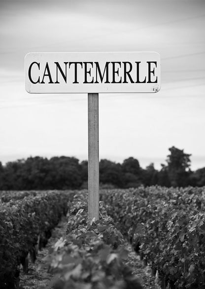 CHATEAU CANTEMERLE, Haut-Medoc, Bordeaux, 2017