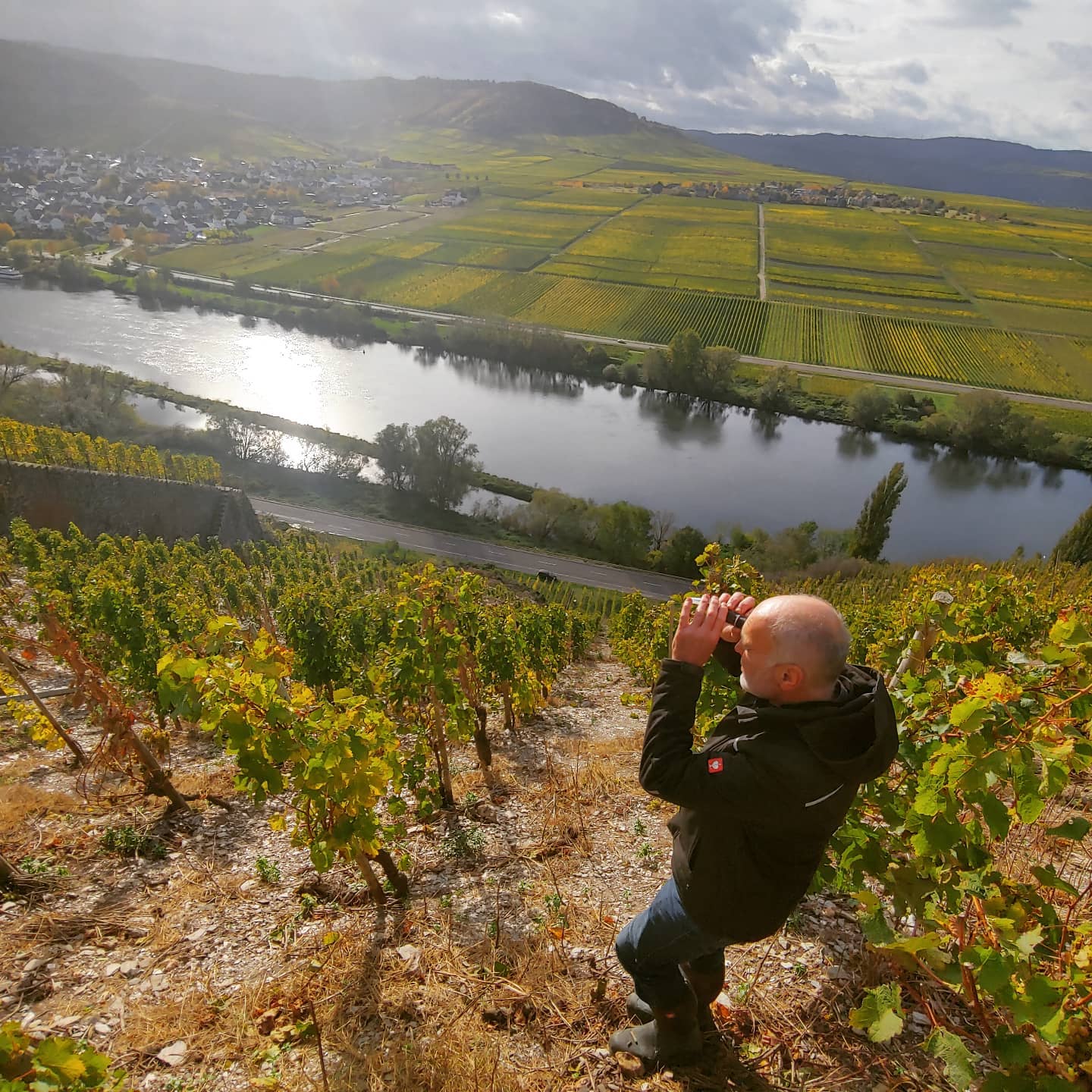 CARL LOEWEN, Riesling Kabinett, Herrenberg, Mosel, 2023 - (EQW)