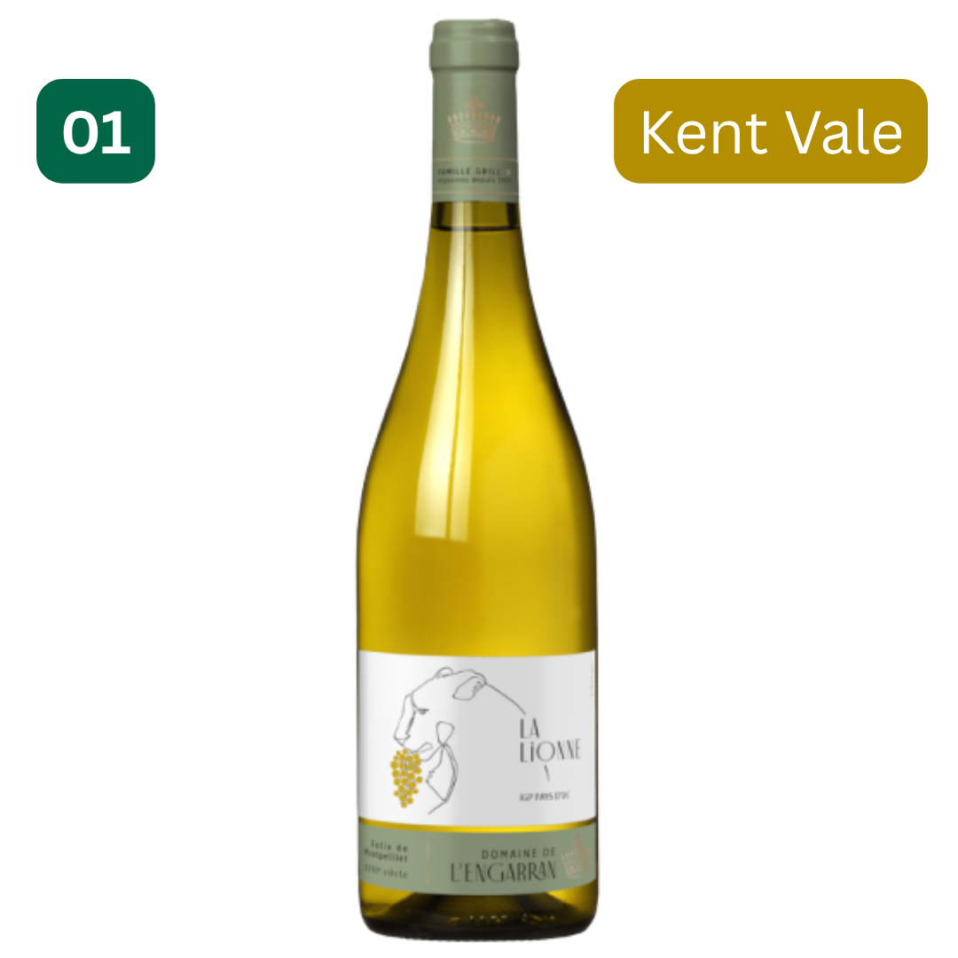 CHÂTEAU ENGARRAN, La Lionne, Sauvignon Blanc, France, 2021