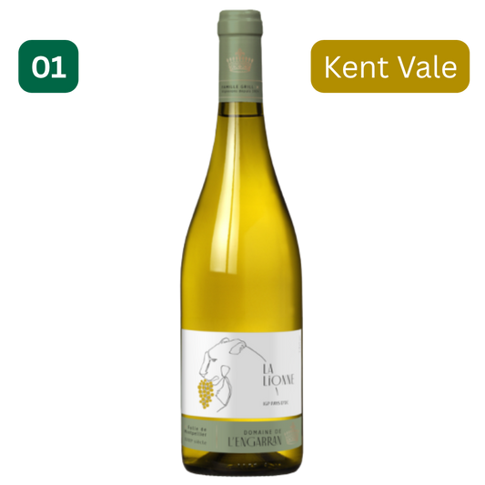 CHÂTEAU ENGARRAN, La Lionne, Sauvignon Blanc, France, 2021