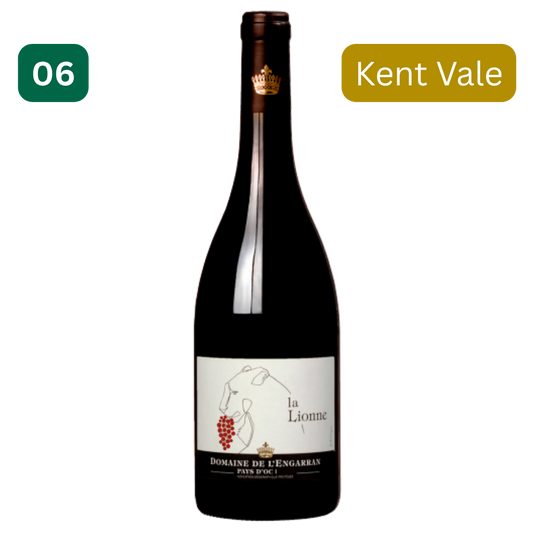 CHÂTEAU ENGARRAN, La Lionne, Cabernet Franc Blend, France, 2019