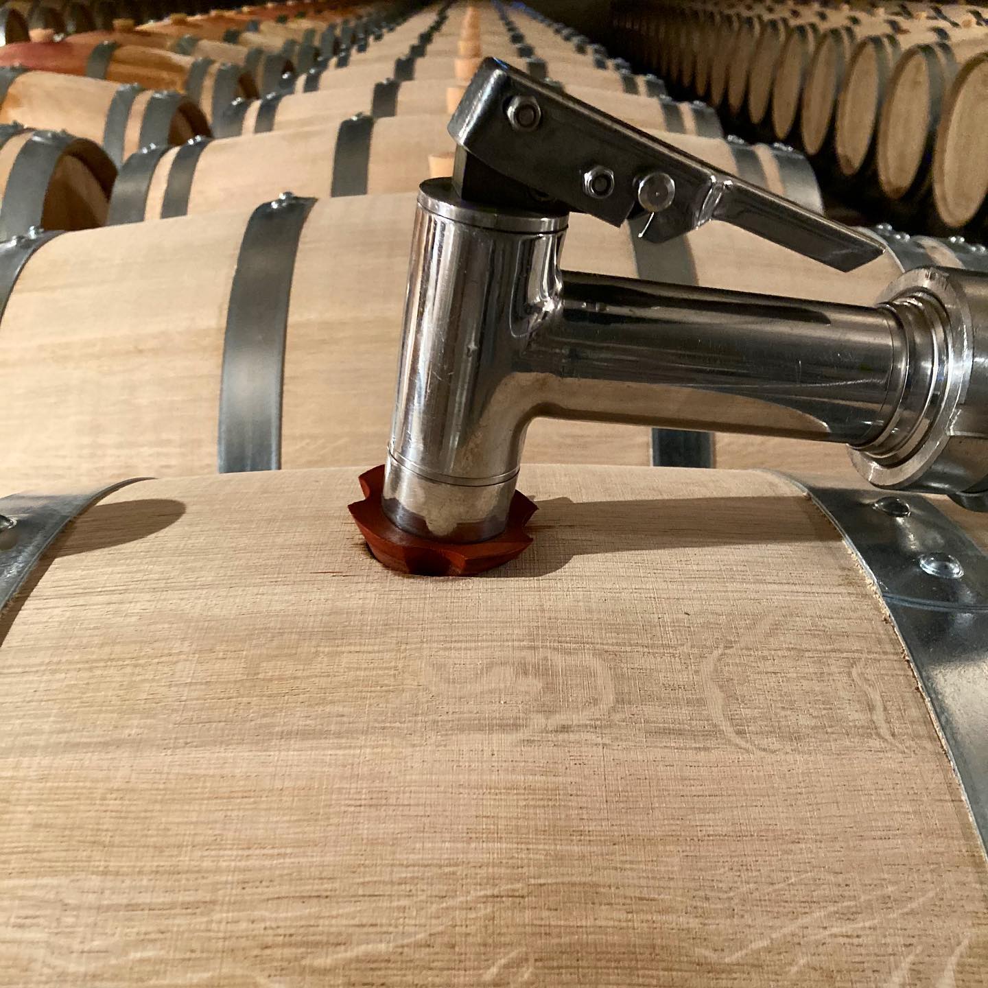 CHATEAU LA CHANDELLIERE, Cru Bourgeois, Medoc, Bordeaux, 2016 - (EQW)