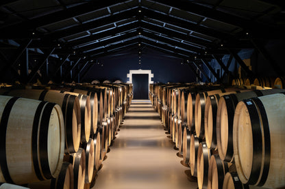 CHÂTEAU LILIAN LADOUYS, Cru Bourgeois Exceptionnel, Saint-Estephe, Bordeaux, France, 2018