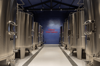 CHÂTEAU LILIAN LADOUYS, Cru Bourgeois Exceptionnel, Saint-Estephe, Bordeaux, France, 2018