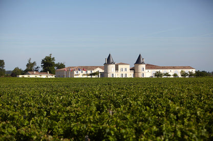 CHÂTEAU LILIAN LADOUYS, Cru Bourgeois Exceptionnel, Saint-Estephe, Bordeaux, France, 2018