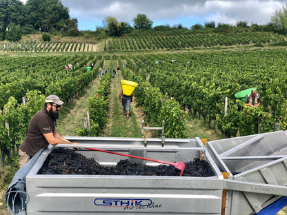 CHATEAU MANGOT, Saint-Emilion Grand Cru, Bordeaux, 2019 - (EQW)