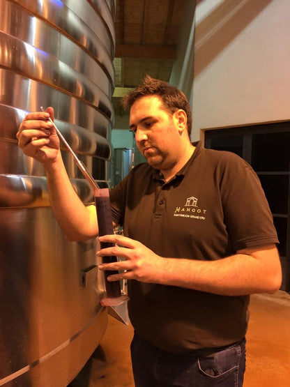 CHATEAU MANGOT, Saint-Emilion Grand Cru, Bordeaux, 2019 - (EQW)