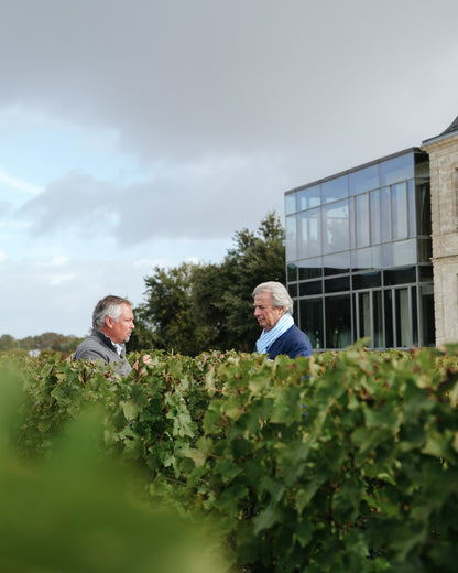 FLEUR DE PEDESCLAUX, Pauillac, Bordeaux, 2019 - (EQW)