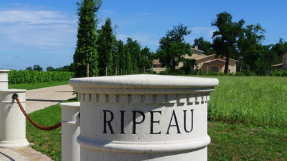 TOUR DE RIPEAU, Saint-Emilion Grand Cru, Bordeaux, 2015 - (EQW)