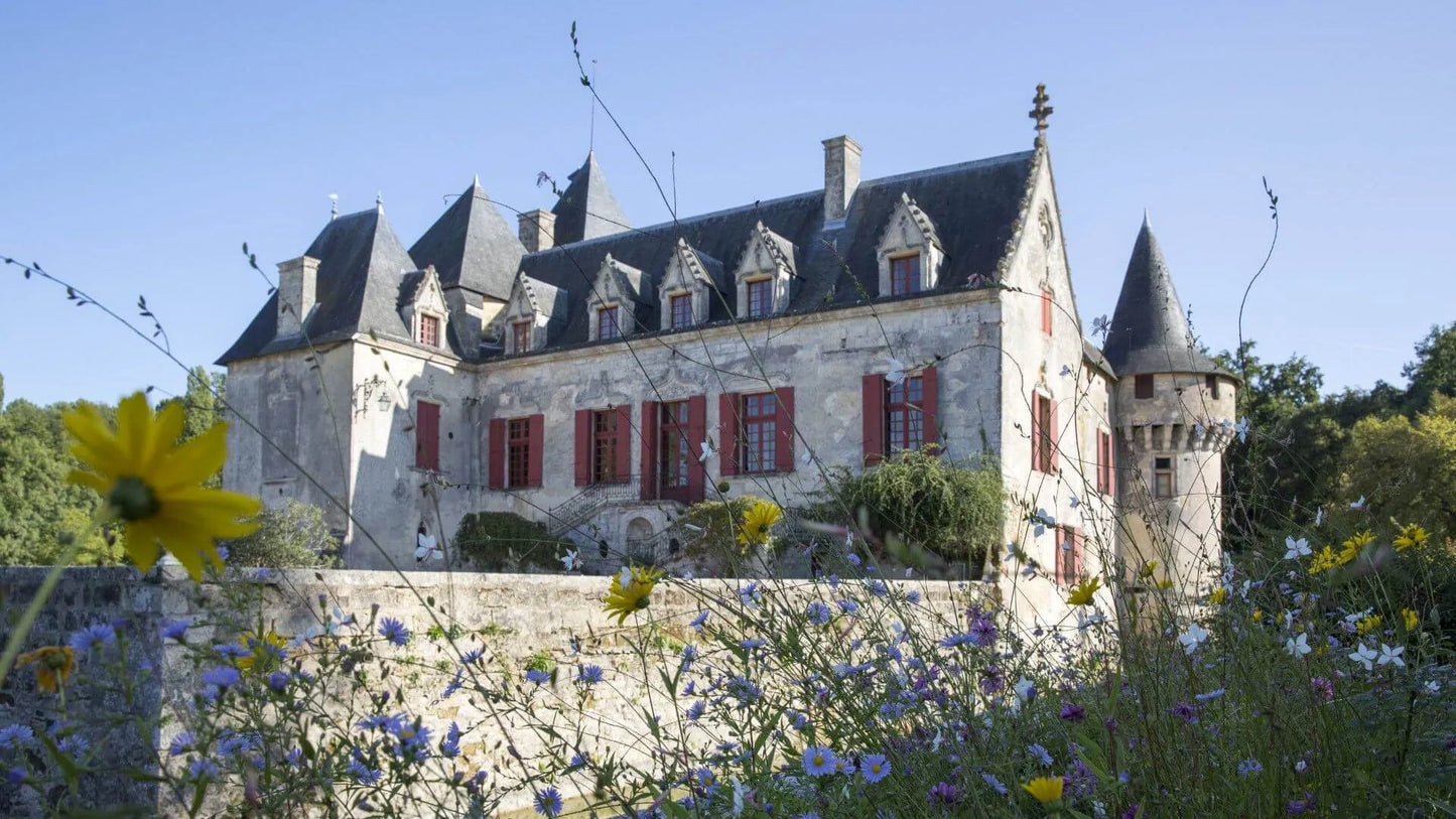 CHATEAU OLIVIER, Pessac-Leognan Blanc, Bordeaux, 2017 - (EQW)