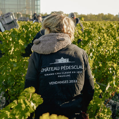 FLEUR DE PEDESCLAUX, Pauillac, Bordeaux, 2019 - (EQW)