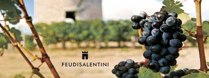 FEUDI SALENTINI, Collezione 53, Primitivo di Manduria, Italy, 2021