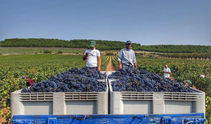 HACIENDA GRIMON, REAL DE LESTON, Rioja Alta, Reserva, Spain, 2015