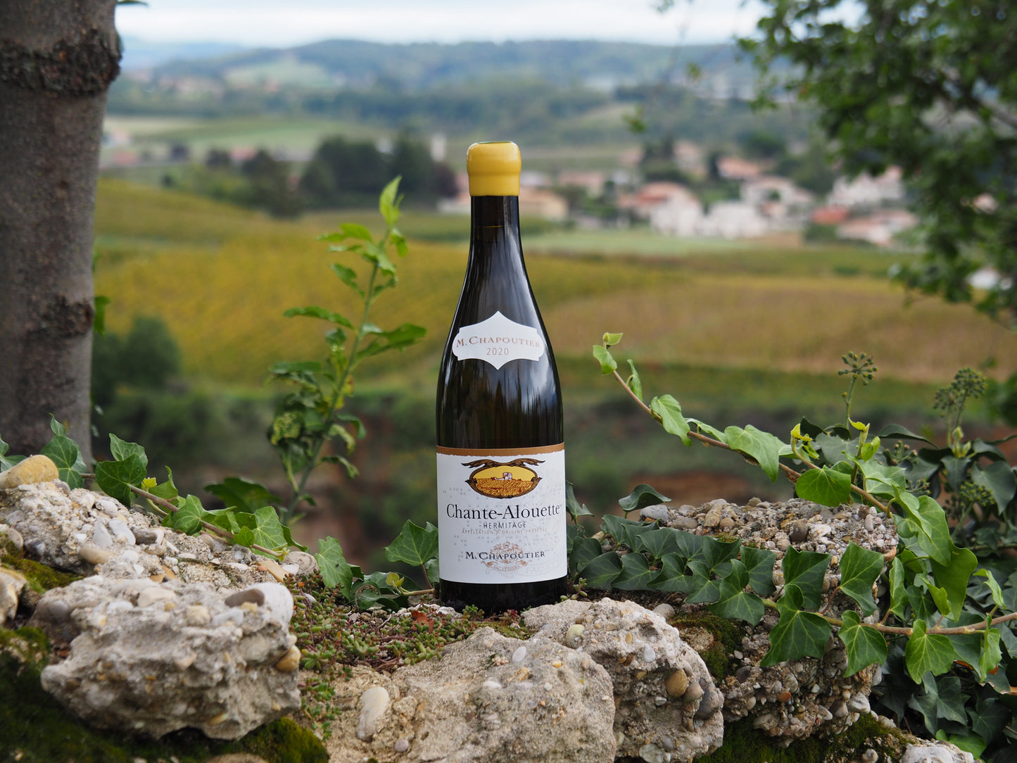 M CHAPOUTIER, Hermitage Blanc, Chante-Alouette, 2013 - (WOTM)