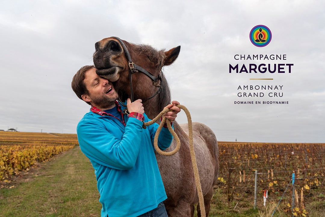 MARGUET, Grand Cru, Brut Nature "Shaman 22", Champagne, NV - (WOTM)