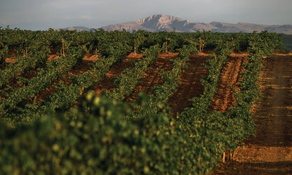 BODEGAS ONTANON, Antologia, Rioja Crianza, 2018